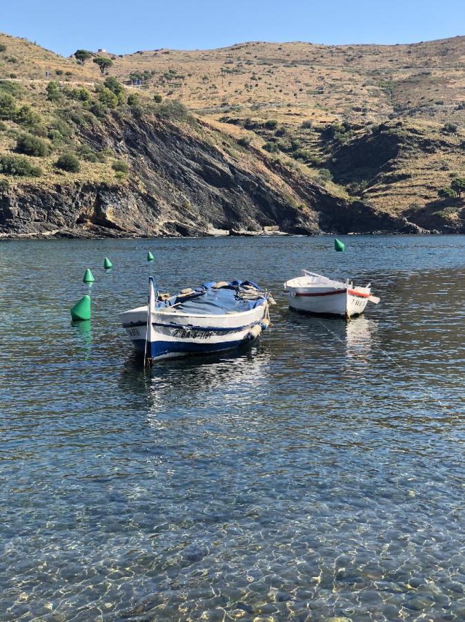 Piso En La Costa Brava Y Al Inicio Del Pirineo Portbou Exterior foto