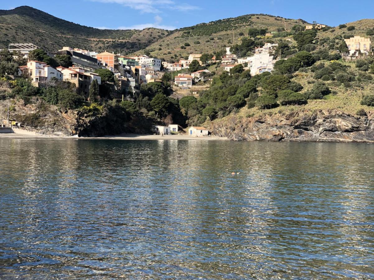 Piso En La Costa Brava Y Al Inicio Del Pirineo Portbou Exterior foto